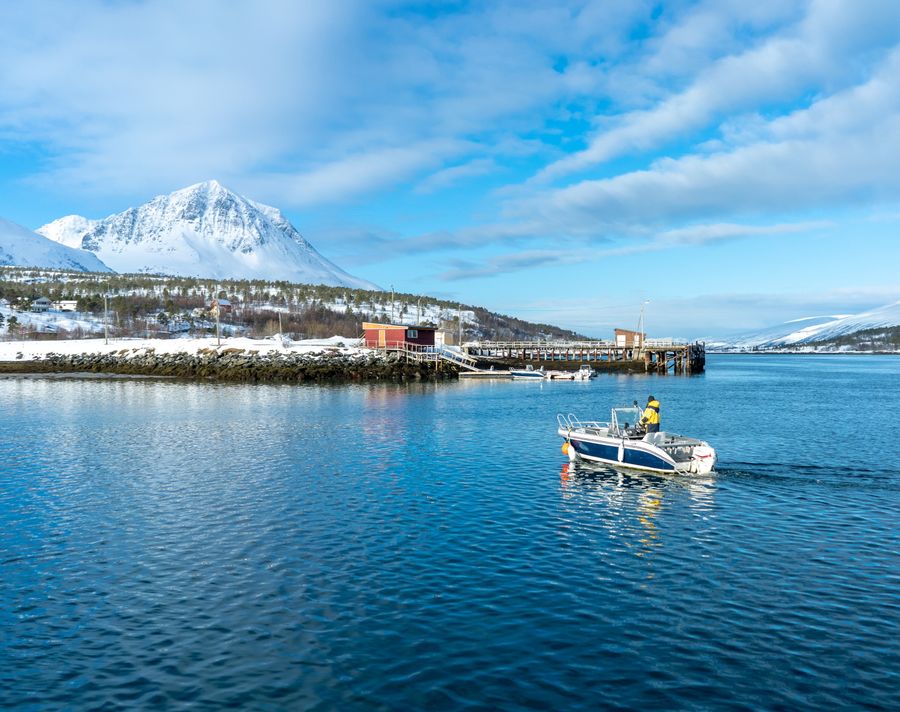 Boat on the fjord