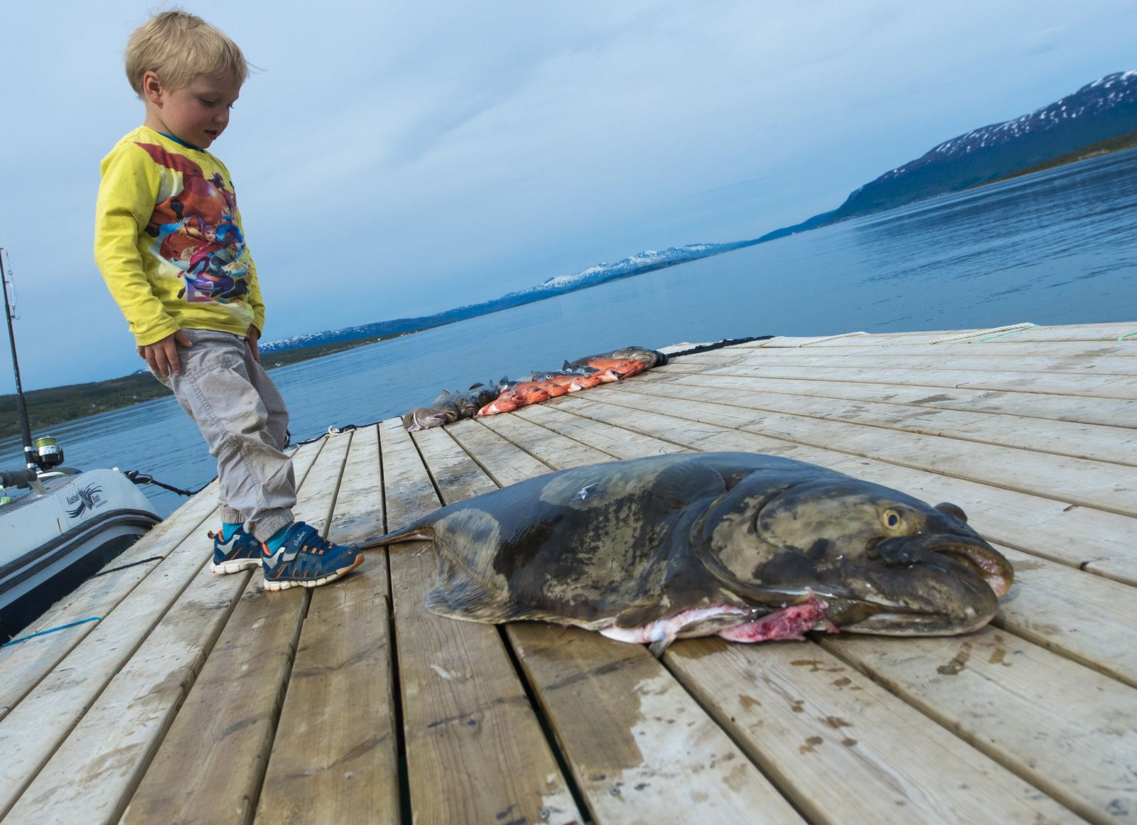 Guests fishing at Vikran